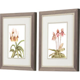 Paragon Floral Beauty II S/2 Pink 11 X 09 X 1 Wall Art