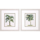 Paragon Palms S/2 Green 16 X 14 X 1 Wall Art