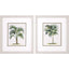 Paragon Palms S/2 Green 16 X 14 X 1 Wall Art