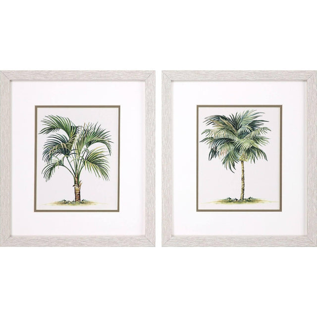 Paragon Palms S/2 Green 16 X 14 X 1 Wall Art