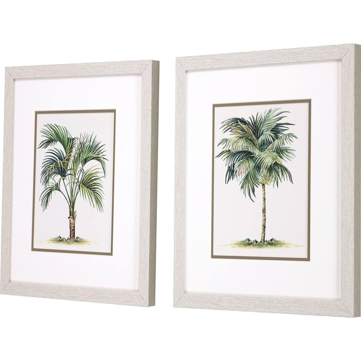 Paragon Palms S/2 Green 16 X 14 X 1 Wall Art