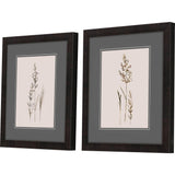 Paragon Delicate Stems S/2 Black 17 X 15 X 2 Wall Art