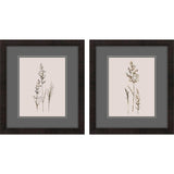 Paragon Delicate Stems S/2 Black 17 X 15 X 2 Wall Art