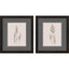 Paragon Delicate Stems S/2 Black 17 X 15 X 2 Wall Art