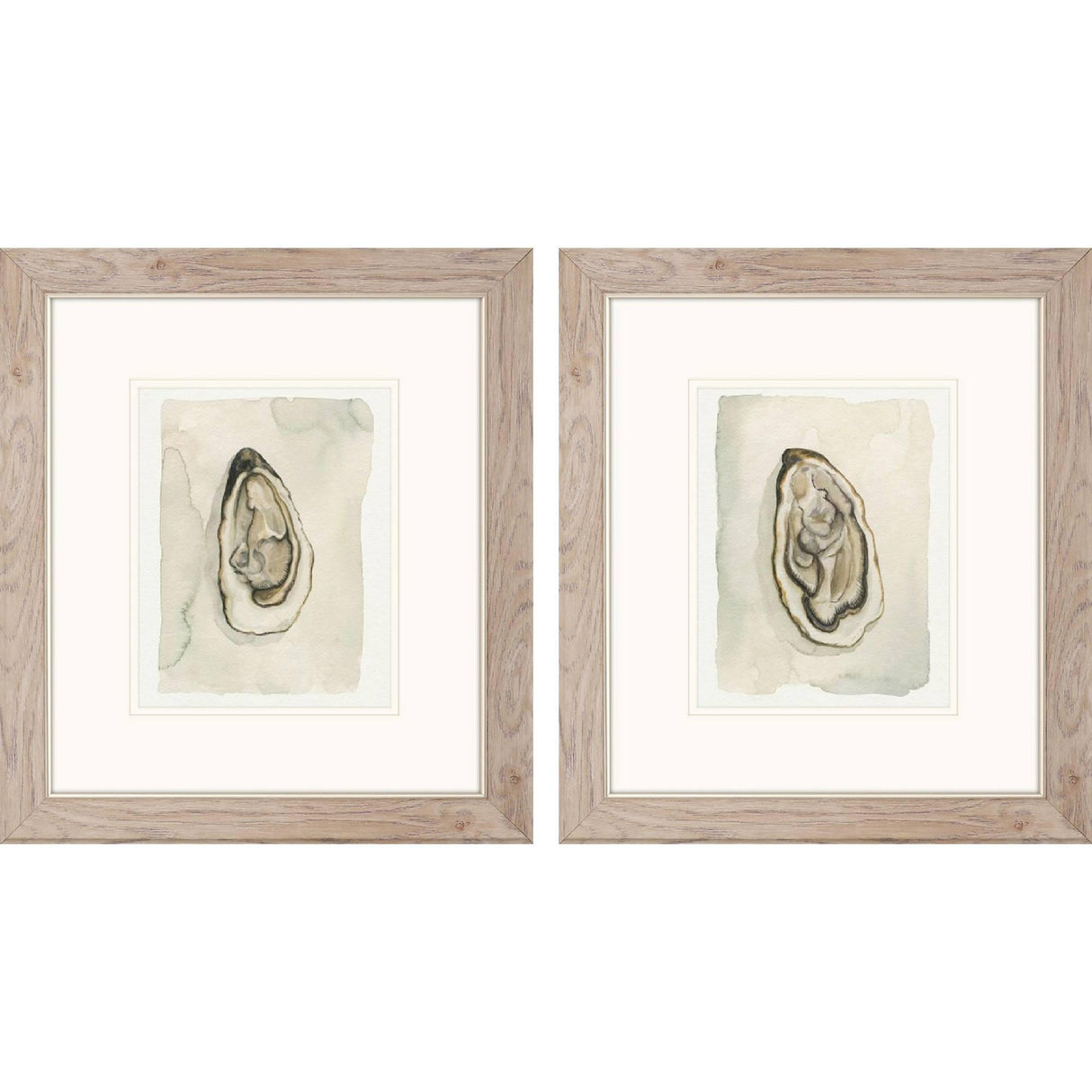 Paragon Soft Half Shell S/2 Gray 18 X 16 X 1 Wall Art