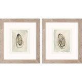 Paragon Soft Half Shell S/2 Gray 18 X 16 X 1 Wall Art