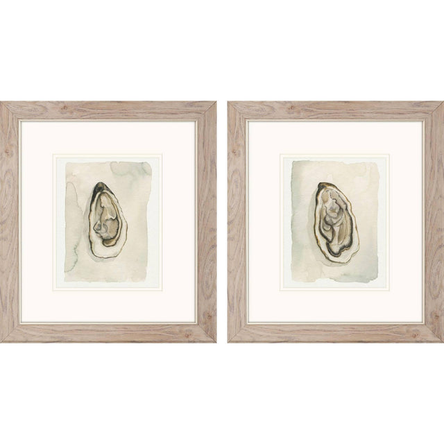 Paragon Soft Half Shell S/2 Gray 18 X 16 X 1 Wall Art