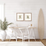 Paragon Soft Half Shell S/2 Gray 18 X 16 X 1 Wall Art