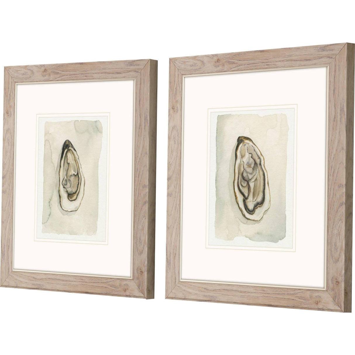 Paragon Soft Half Shell S/2 Gray 18 X 16 X 1 Wall Art