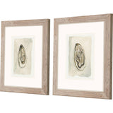 Paragon Soft Half Shell S/2 Gray 18 X 16 X 1 Wall Art