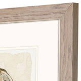 Paragon Soft Half Shell S/2 Gray 18 X 16 X 1 Wall Art