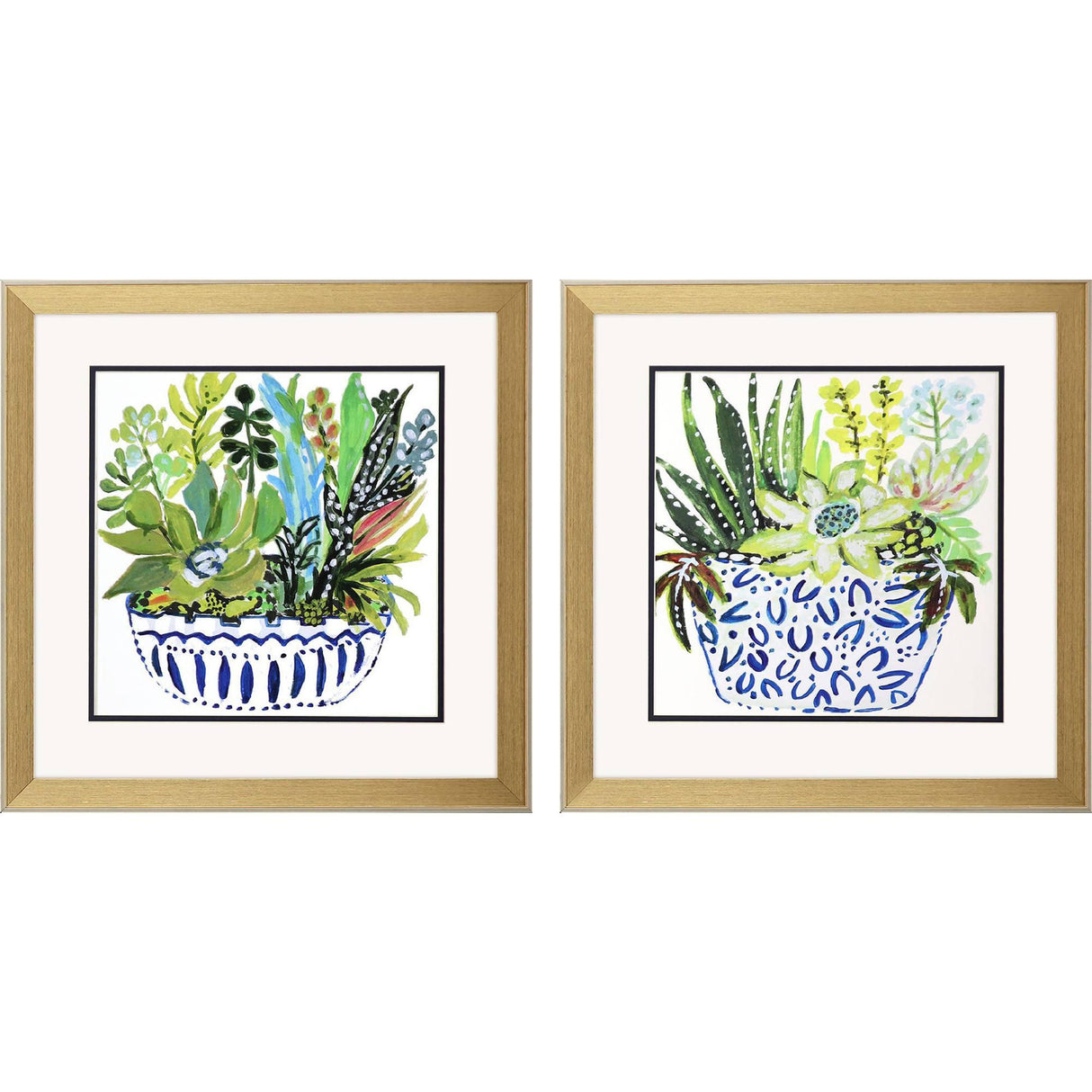 Paragon Succulent Garden II S/2 Blue 18 X 18 X 2 Wall Art