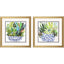 Paragon Succulent Garden II S/2 Blue 18 X 18 X 2 Wall Art