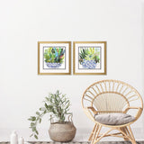 Paragon Succulent Garden II S/2 Blue 18 X 18 X 2 Wall Art
