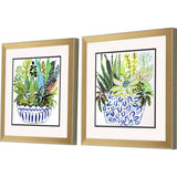 Paragon Succulent Garden II S/2 Blue 18 X 18 X 2 Wall Art
