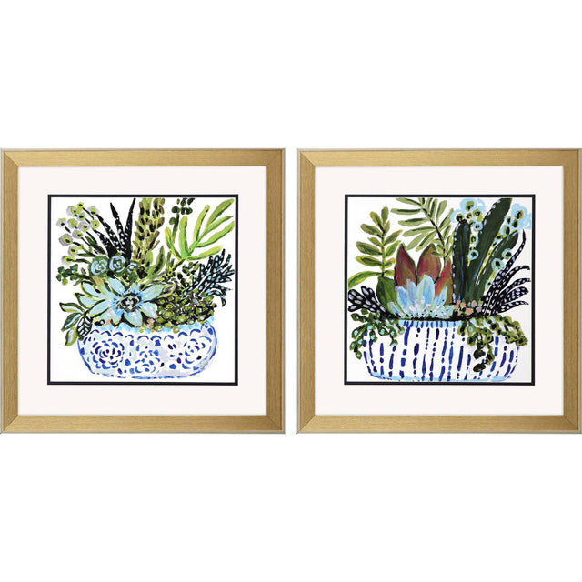 Paragon Succulent Garden I S/2 Blue 18 X 18 X 2 Wall Art