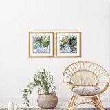 Paragon Succulent Garden I S/2 Blue 18 X 18 X 2 Wall Art