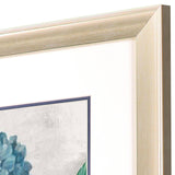 Paragon Hydrangea Blooms S/2 Blue 27 X 21 X 1 Wall Art