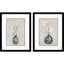 Paragon Cottage Spring S/2 Gray 26 X 20 X 2 Wall Art