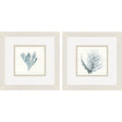 Paragon Ocean Flora S/2 Blue 11 X 11 X 1 Wall Art