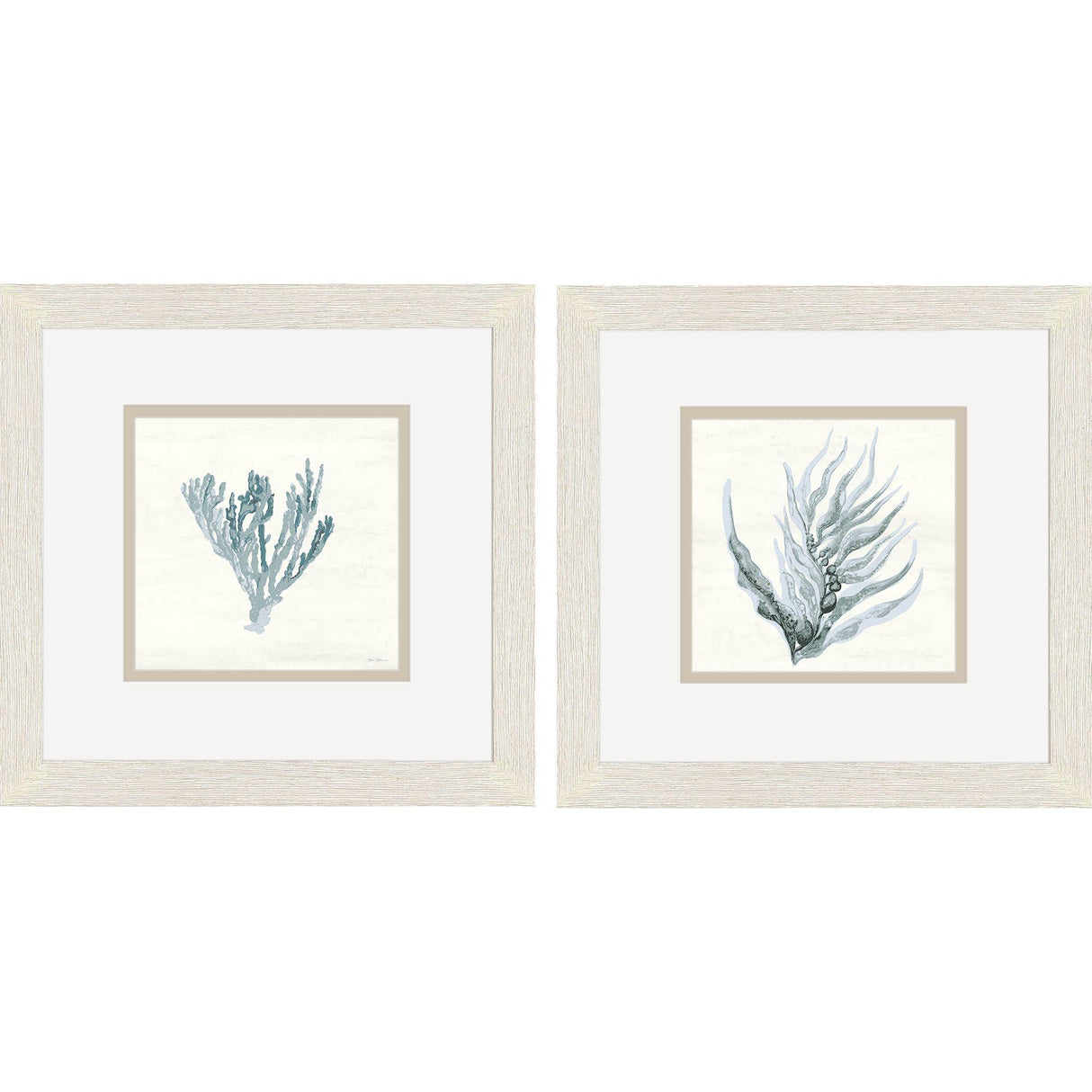 Paragon Ocean Flora S/2 Blue 11 X 11 X 1 Wall Art