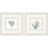 Paragon Ocean Flora S/2 Blue 11 X 11 X 1 Wall Art