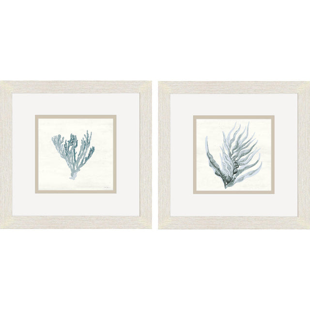 Paragon Ocean Flora S/2 Blue 11 X 11 X 1 Wall Art