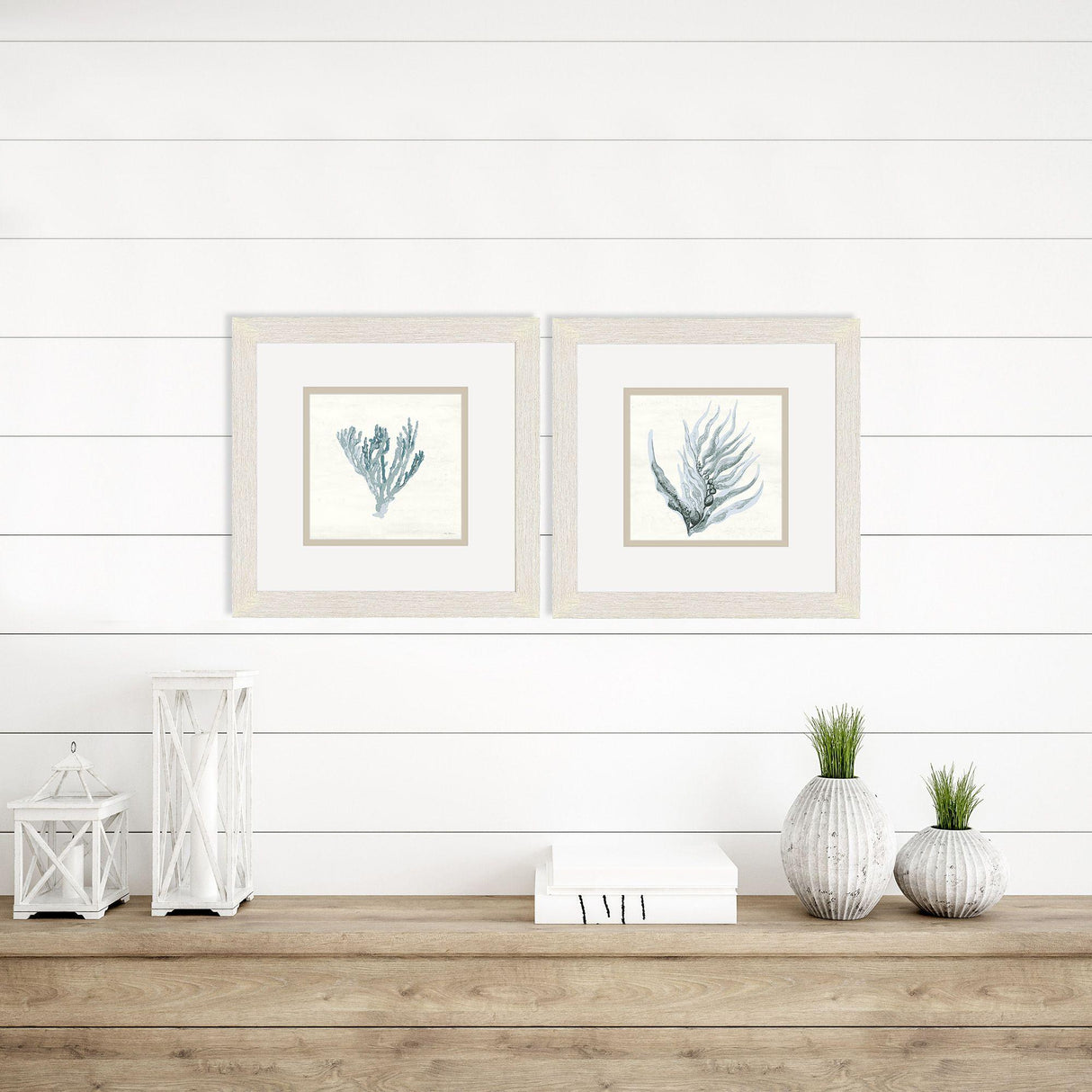 Paragon Ocean Flora S/2 Blue 11 X 11 X 1 Wall Art