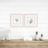 Paragon Ocean Flora S/2 Blue 11 X 11 X 1 Wall Art