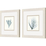 Paragon Ocean Flora S/2 Blue 11 X 11 X 1 Wall Art