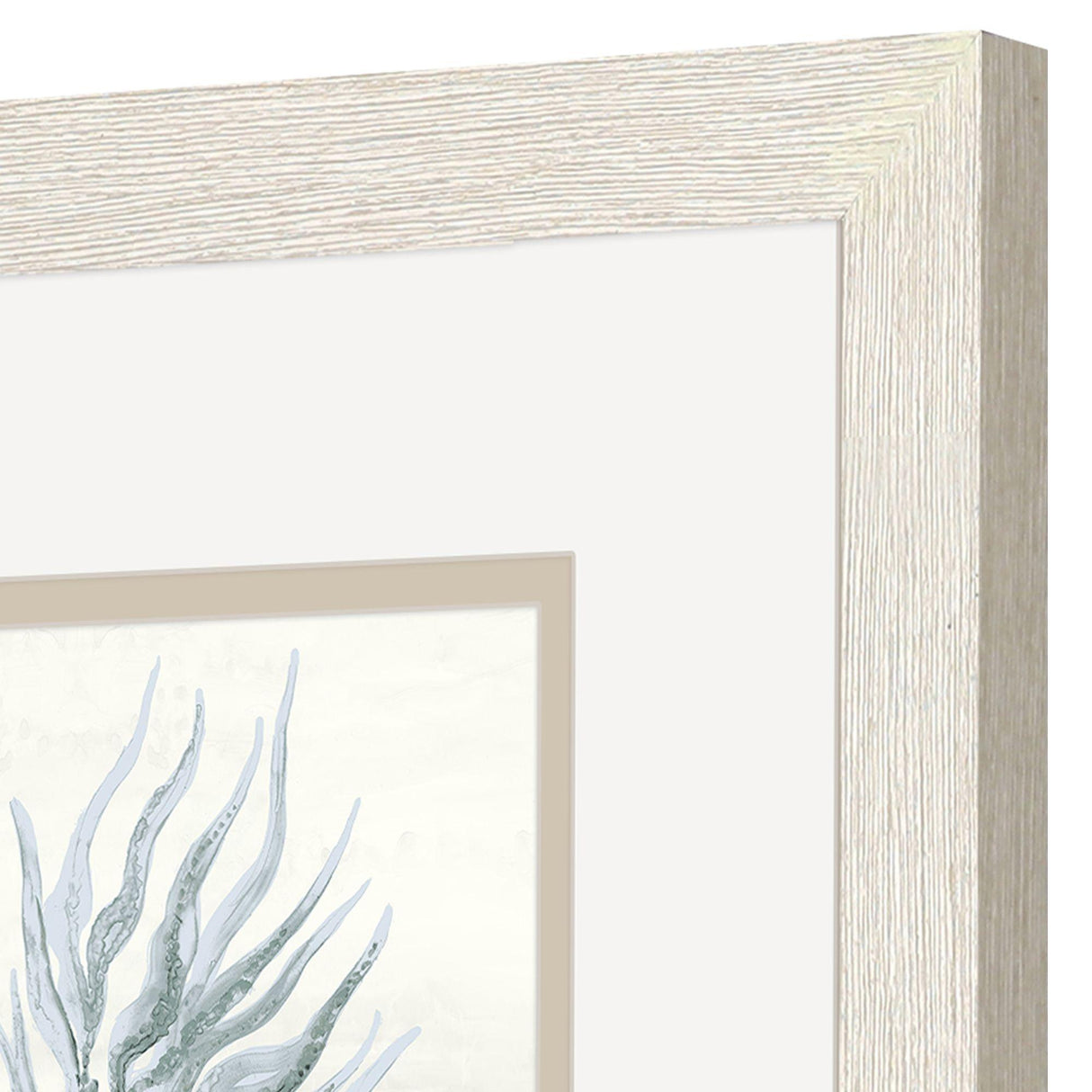Paragon Ocean Flora S/2 Blue 11 X 11 X 1 Wall Art