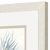 Paragon Ocean Flora S/2 Blue 11 X 11 X 1 Wall Art