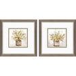 Paragon Earthy Garden S/2 Green 11 X 11 X 1 Wall Art