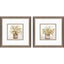 Paragon Earthy Garden S/2 Green 11 X 11 X 1 Wall Art