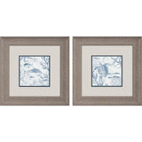 Paragon Seabed Scene A S/2 Blue 13 X 13 X 1 Wall Art