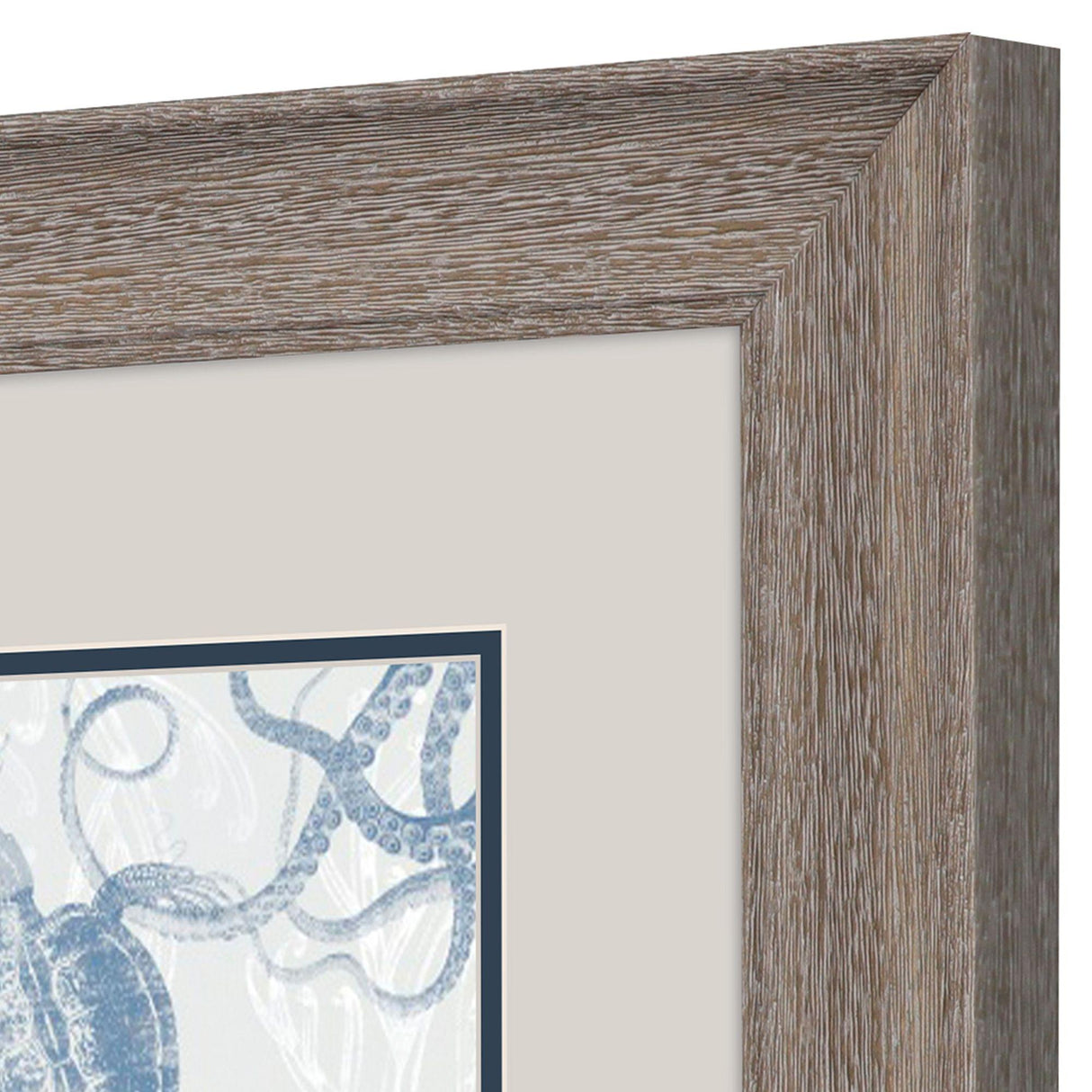 Paragon Seabed Scene A S/2 Blue 13 X 13 X 1 Wall Art