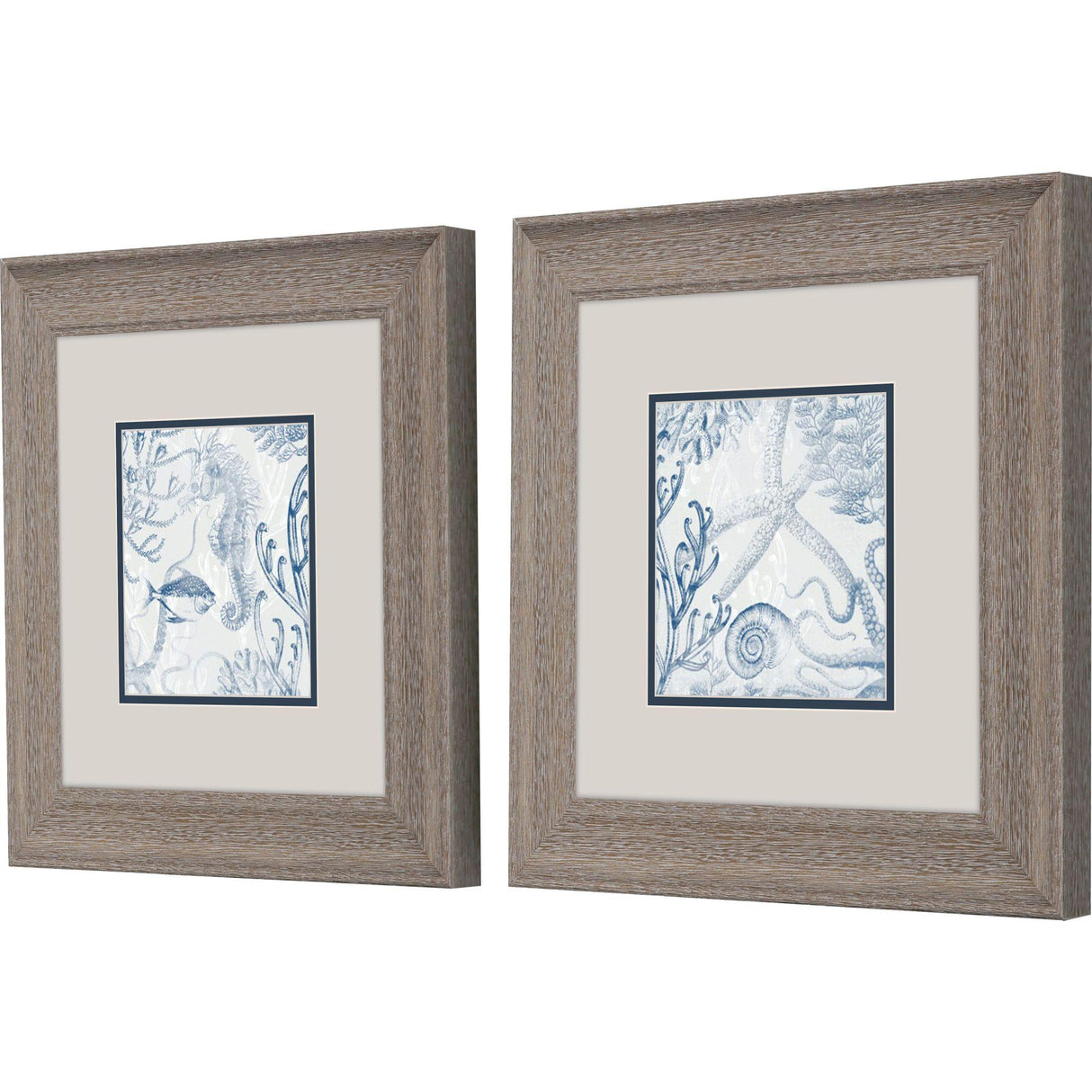 Paragon Seabed Scene B S/2 Blue 13 X 13 X 1 Wall Art