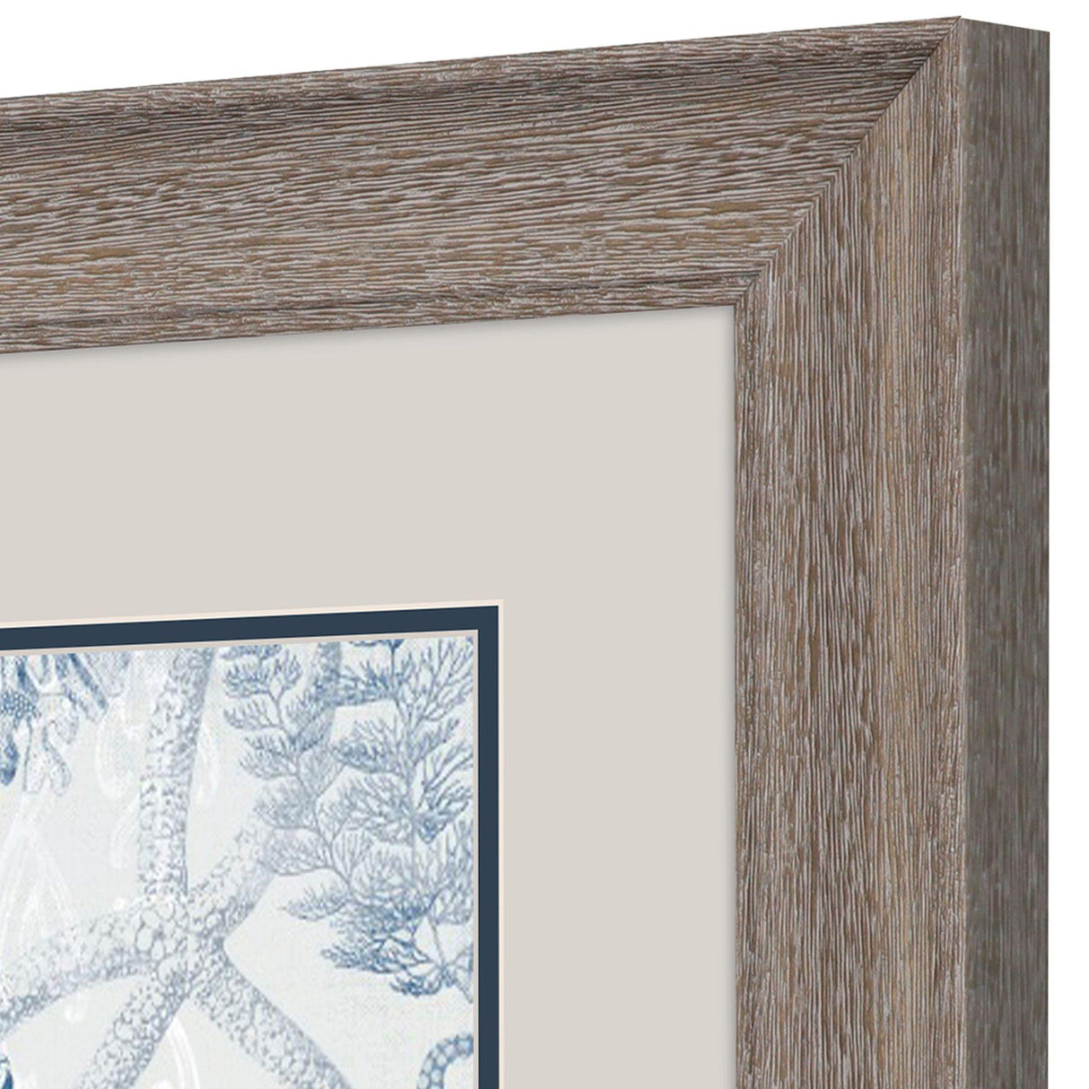 Paragon Seabed Scene B S/2 Blue 13 X 13 X 1 Wall Art