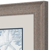 Paragon Seabed Scene B S/2 Blue 13 X 13 X 1 Wall Art