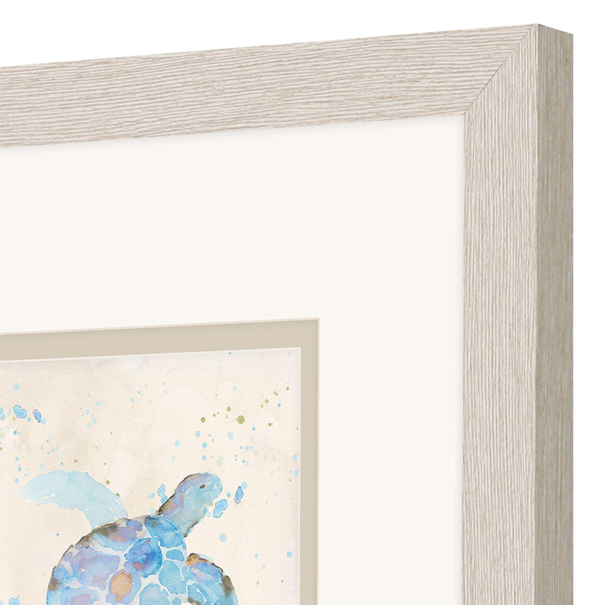 Paragon Blue Sea Turtle S/2 Blue 11 X 11 X 1 Wall Art