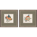 Paragon Amanita Mushroom S/2 Orange 11 X 11 X 1 Wall Art