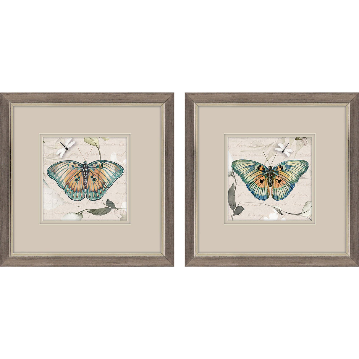 Paragon Papillon S/2 Turquoise 11 X 11 X 1 Wall Art