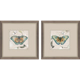 Paragon Papillon S/2 Turquoise 11 X 11 X 1 Wall Art