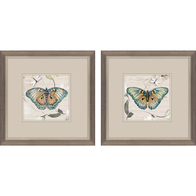 Paragon Papillon S/2 Turquoise 11 X 11 X 1 Wall Art