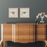 Paragon Papillon S/2 Turquoise 11 X 11 X 1 Wall Art