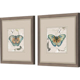 Paragon Papillon S/2 Turquoise 11 X 11 X 1 Wall Art