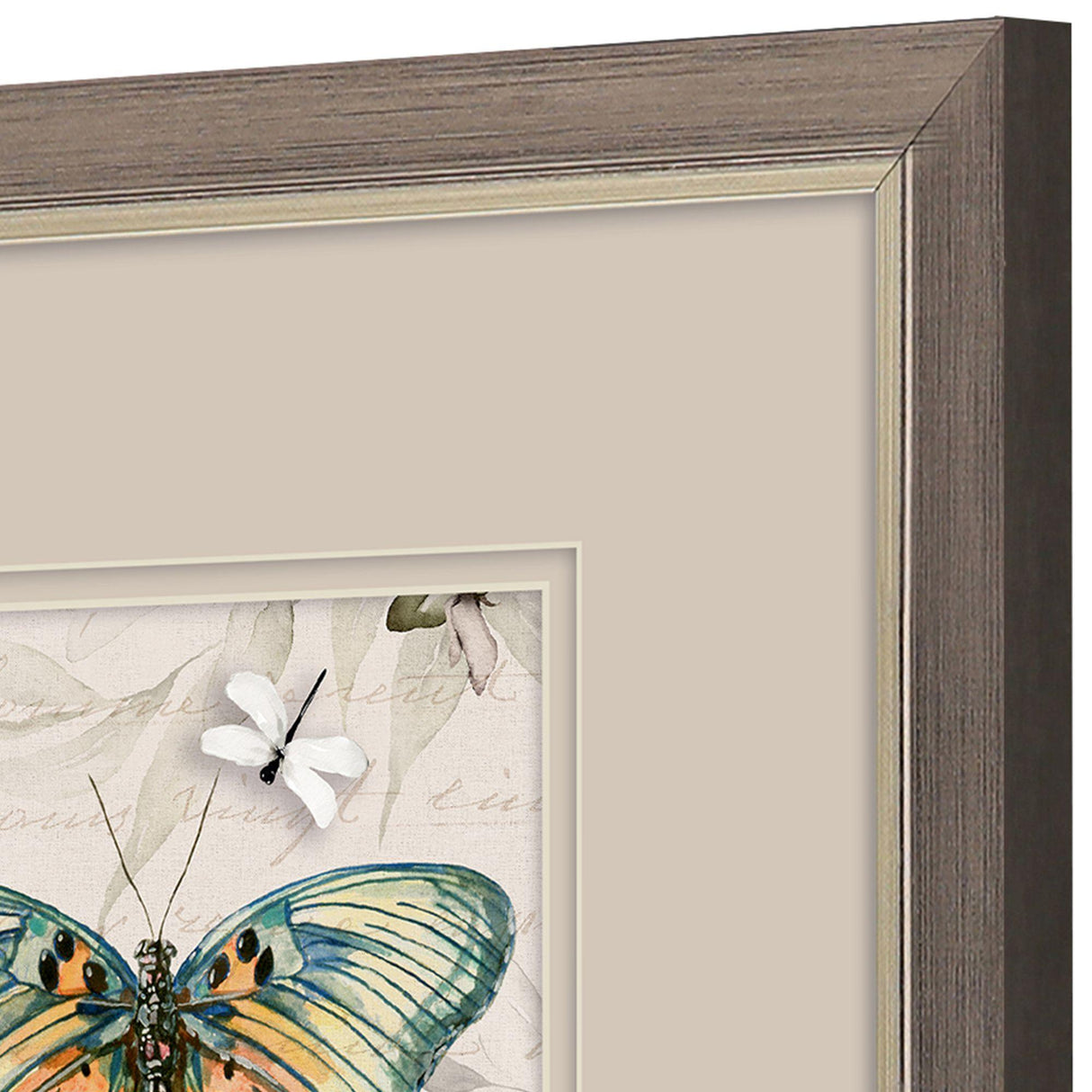 Paragon Papillon S/2 Turquoise 11 X 11 X 1 Wall Art