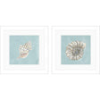 Paragon Seashell A S/2 Green 19 X 19 X 2 Wall Art