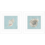 Paragon Seashell A S/2 Green 19 X 19 X 2 Wall Art