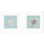 Paragon Seashell A S/2 Green 19 X 19 X 2 Wall Art